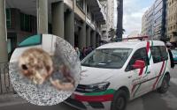 قبيل أذان المغرب..جمجمة بشرية مجهولة تستنفر المصالح الأمنية بطنجة   (صور)